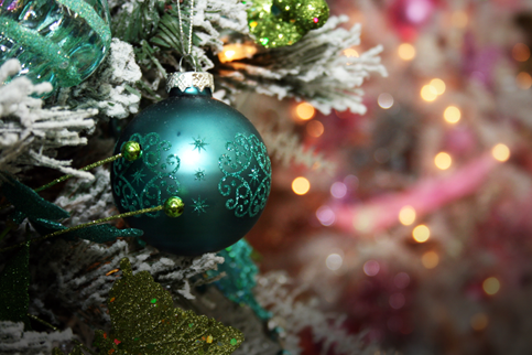 Christmas at Wilsons